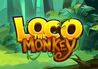 Loco the Monkey